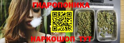 каннабис Кингисепп
