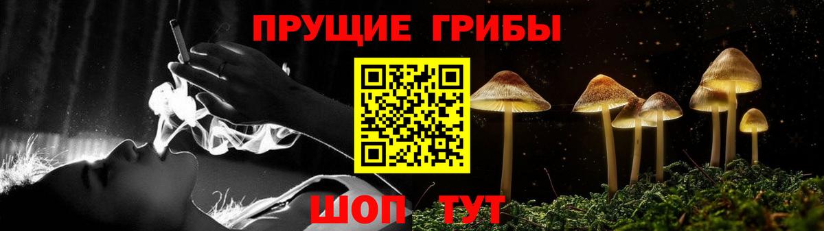 Галлюциногенные грибы Psilocybine cubensis  Вход с VPN  Коломна  Псилоцибиновые грибы MAGIC MUSHROOMS 